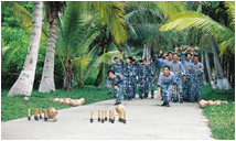 民族趣味運(yùn)動(dòng)會(huì)